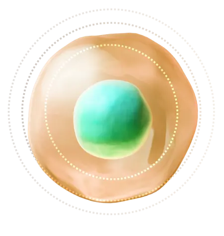 Submethylation